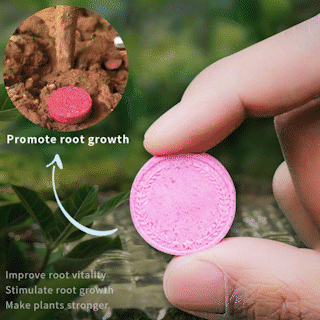 lusailstore - General purpose slow release organic fertilizer for home gardening