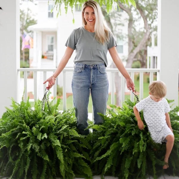 lusailstore-UV Resistant Lifelike Artificial Boston Fern