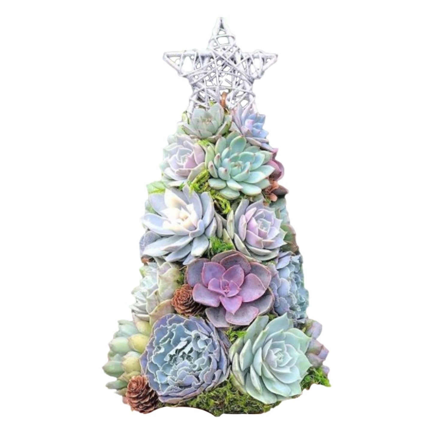 lusailstore - mini succulent christmas tree