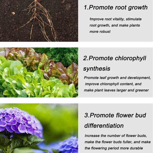lusailstore - General purpose slow release organic fertilizer for home gardening