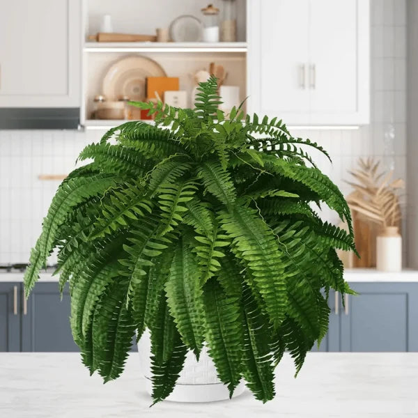 lusailstore-UV Resistant Lifelike Artificial Boston Fern