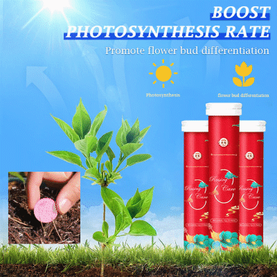 lusailstore - General purpose slow release organic fertilizer for home gardening