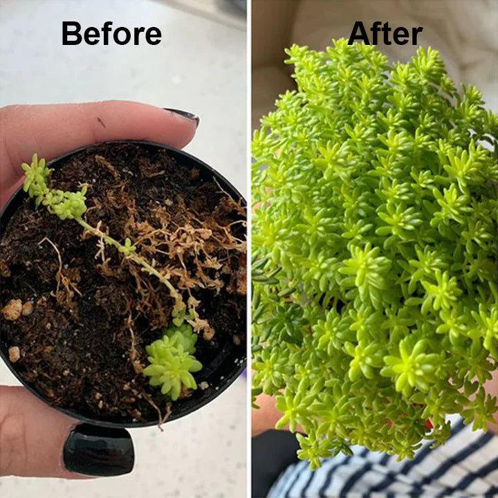 lusailstore - plant nutrient solution