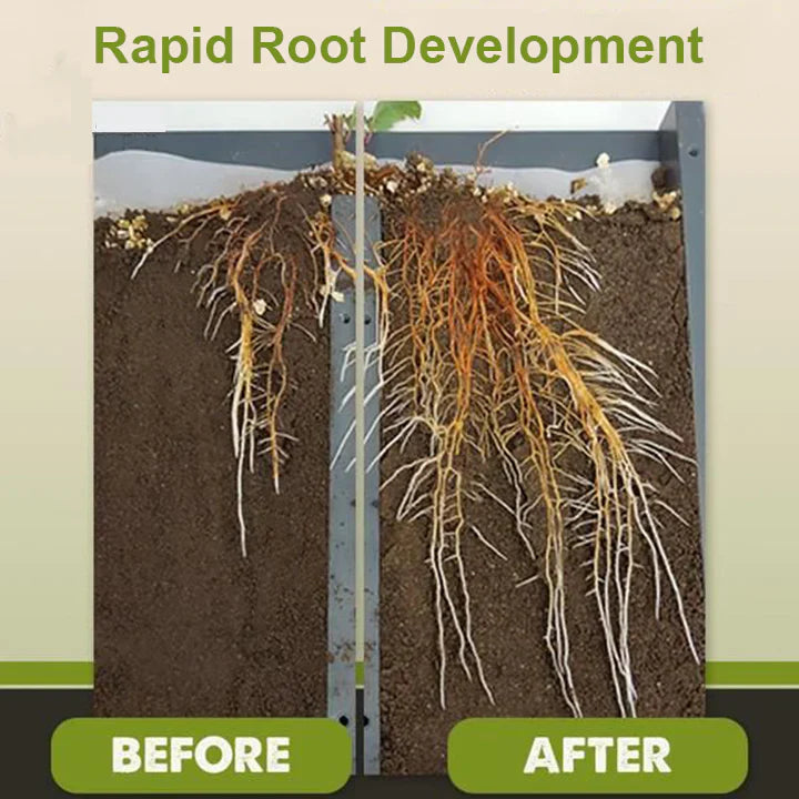 lusailstore - plant nutrient solution
