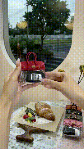 lusailstore - Transparent Mini Handbag Key Case