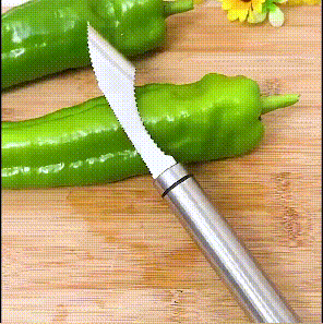 lusailstore - Pepper Seed Corer Remover(buy 3 get 2 free now)